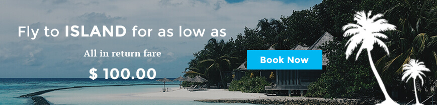 fly-banner